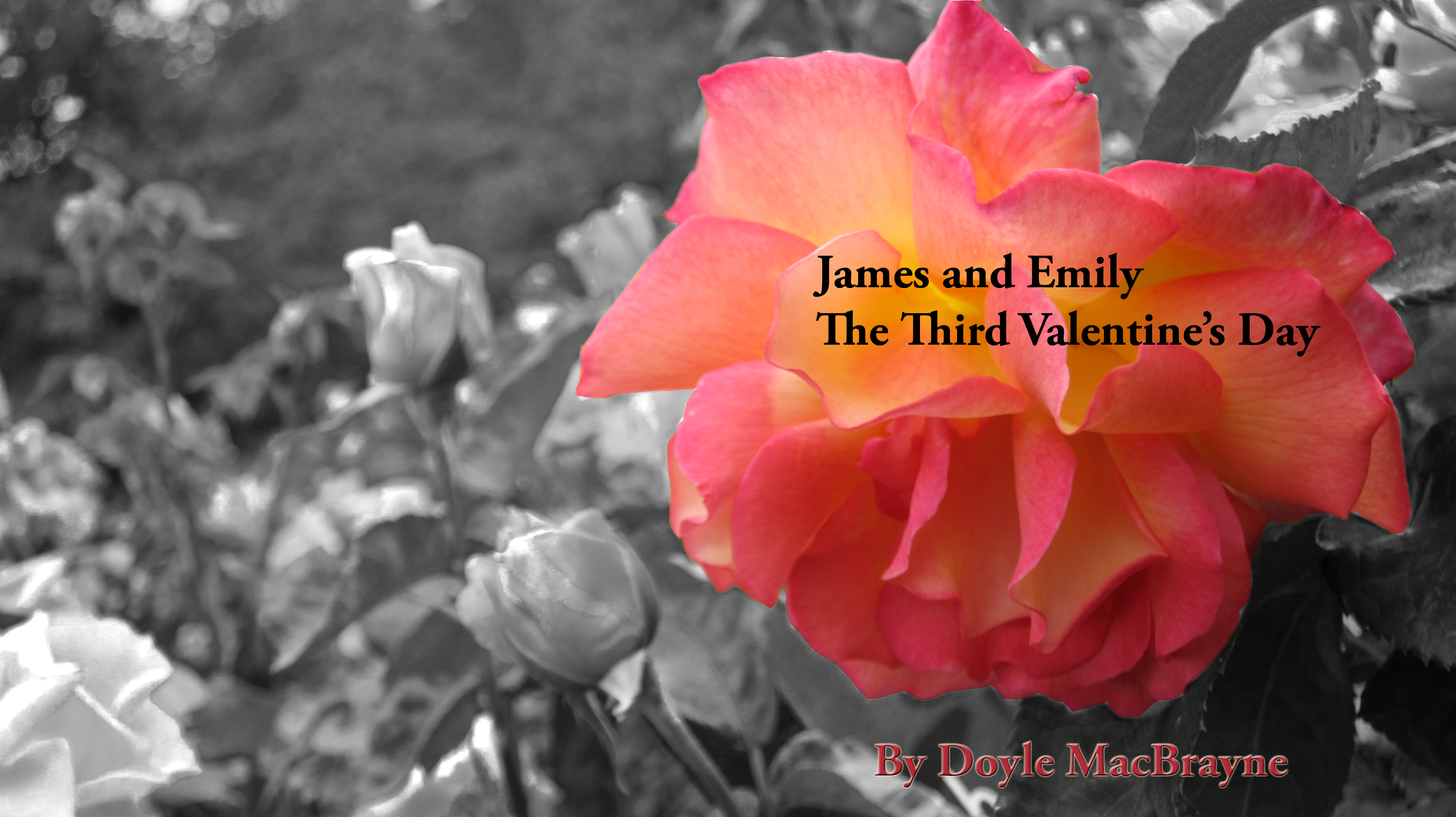 New Cover - New Book  The Third Valentine's Day  - James and Emily's Story